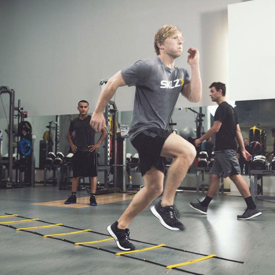 Sklz best sale quick ladder